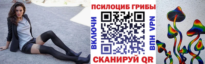 Псилоцибиновые грибы Cubensis  купить закладку  Красный Кут 